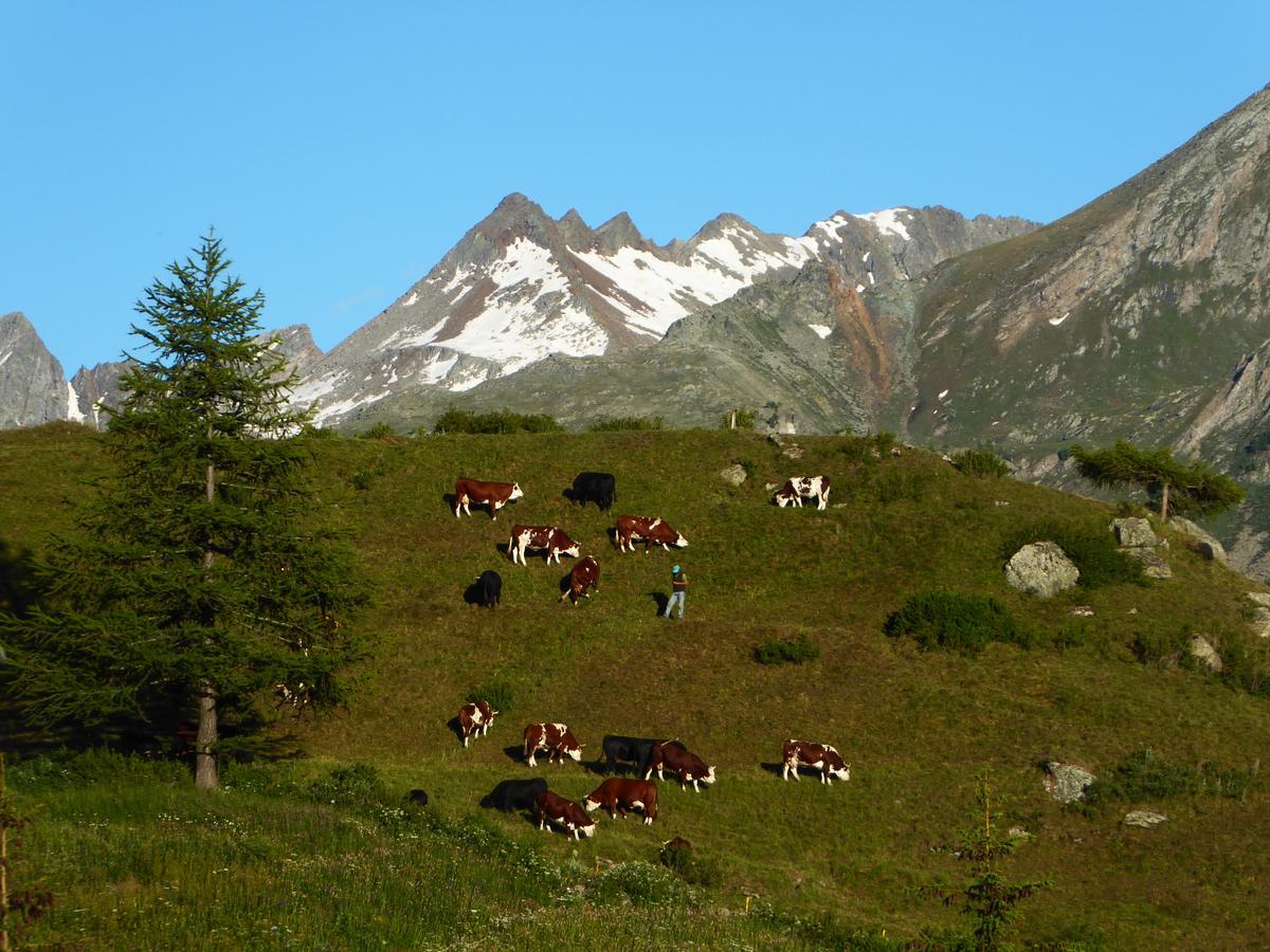 Hotel Locanda Grauson Cogne Dış mekan fotoğraf